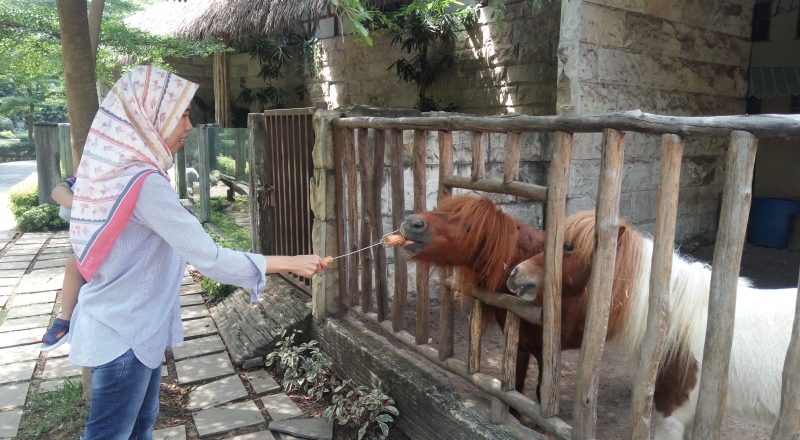 Faunaland Ancol adalah kebun binatang bernuansa hutan Papua di Jakarta yang menawarkan wisata edukasi, satwa beragam, dan suasana alam tropis.